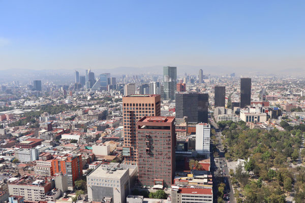 View over Mexico City 