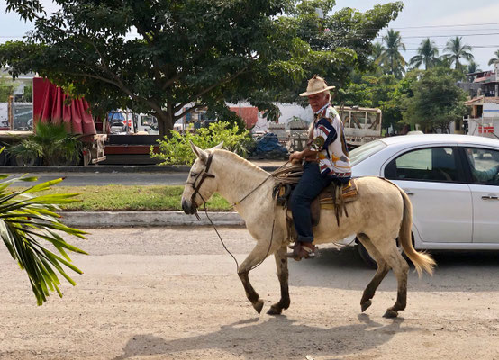 ..a sight you see all over Mexico the old man on his mule 