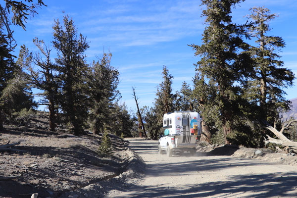 ...as we head on down back into Owens Valley