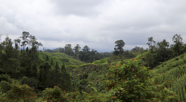 The winding road went through hilly mountainside