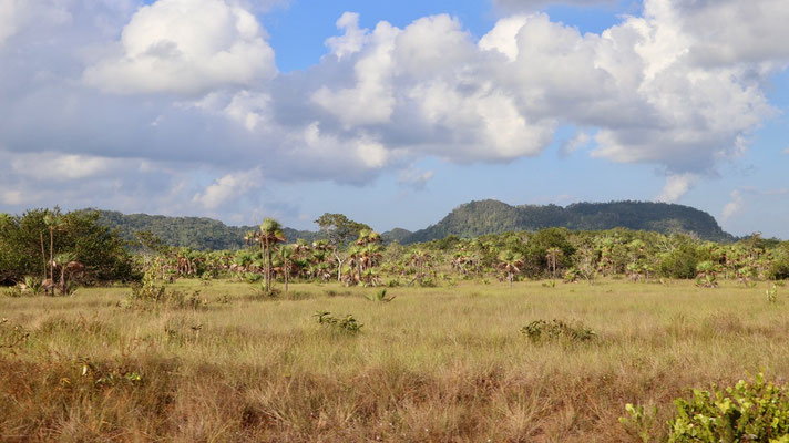 Our next destination is Hopkins on the caribbean coast