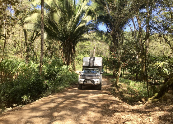 ..half way through we are now down in the jungle and I'm so glad the road is dry as I've read of other Overlanders slipping and sliding in the mud 