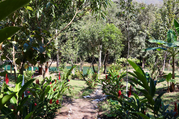 ..a beautiful garden.