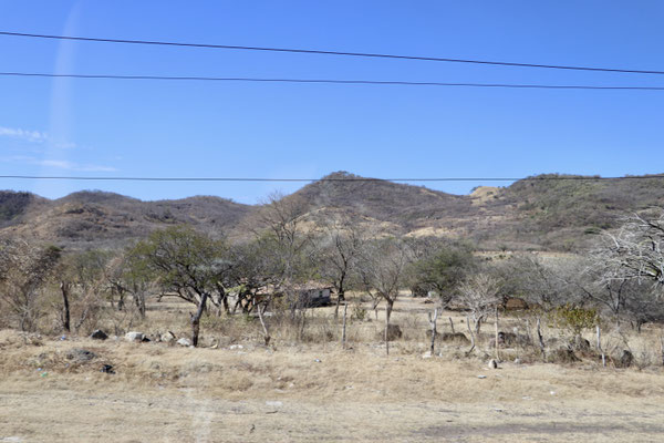 The south coast vegetation was very dry as we were in the middle of the dry season