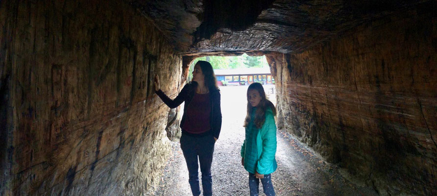 ..and amazing experience to walk through...