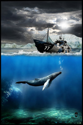 sea shepherd ........ this pic was a little gift for Paul Watson