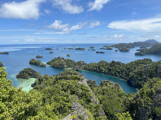 traumhafte Aussicht, Misool, Raja Ampat, Indonesien