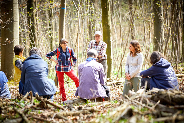 Reportage, Waldführung, Waldbaden