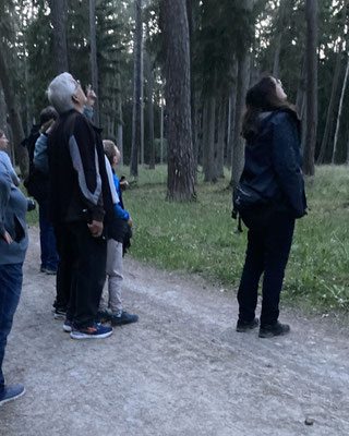 Foto: Reiner Brückner