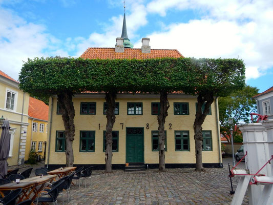 Ærøskøbing- gelbes Haus am Marktplatz - Torvet - mit rechteckig geschnittenen Bäumen - Linden? 