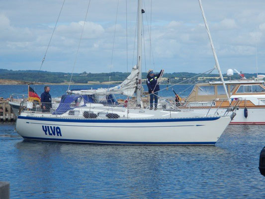 "Ylva" Chance 32