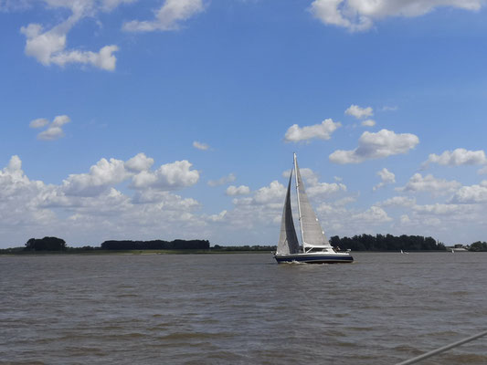 "Windspiel" Handyfoto von Alex