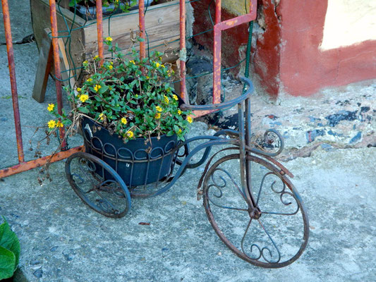 Blumentopffahrrad