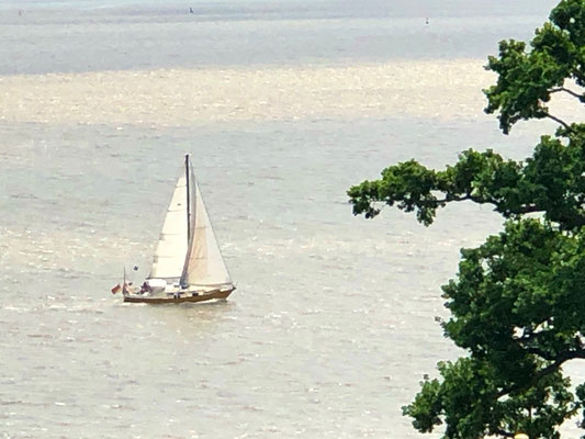 Hein Mück passiert Blankenese