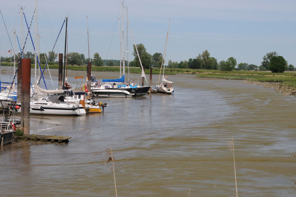 Niedrigwasser in Borsfleth