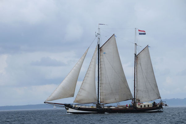 "Pegasus" holländischer Traditionssegler