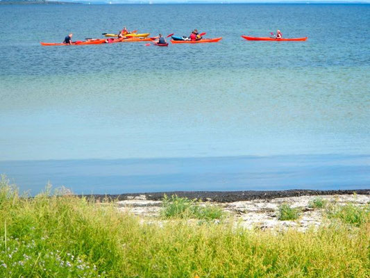 Seekajaks vor dem Hafen von Avernakø