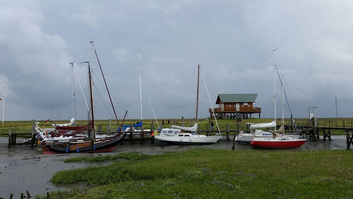 Kathi und Stephan heute mit "Ritena" auf Hallig Hooge