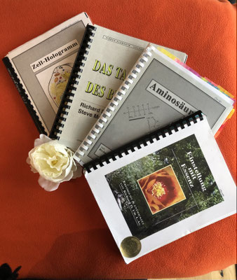 Applied Physiologie Kinesiologie-ein ganzheitliches Körpersystem