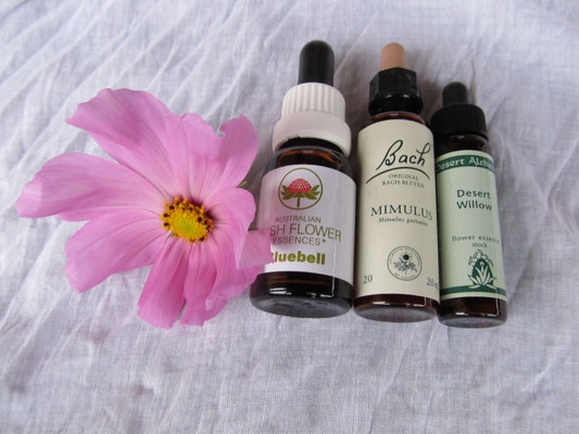  Bush Flower (Australien), Bachblüten (England), Desert Flower (Arizona)