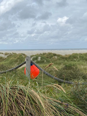 Dünenlandschaft Nordseeinsel Borkum