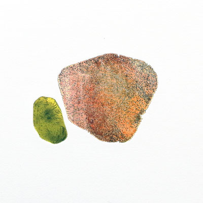 Tiny stony friends V, intaglio & Hayter technique, 2 pl.