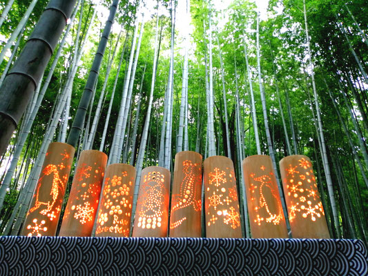 竹灯り 〜春灯籠〜 竹灯籠 極太孟宗竹