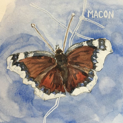 Carole Giboni atelier éditeur édition artiste carte d'art carte artisanale carte d'artiste carte faite main carte fabrication française made in france bourgogne créateur créatrice création originale cadeau origami artisan aquarelle collage dessin 