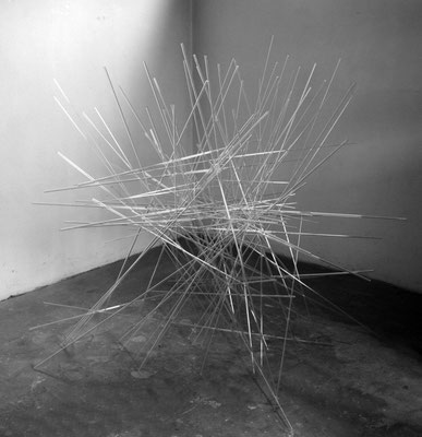 "Fragila", 2012, Glasrohre, Nylonfäden