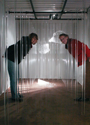 "Zellwanderung", Im Seecontainer , 2008
