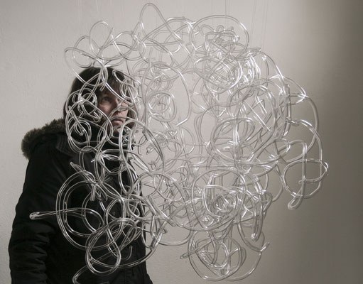 "Loopinvasion", 2016