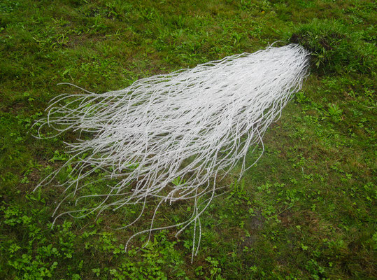 "Auflösung folgt", 2019, ca. 1,60cmx30cmx15cm