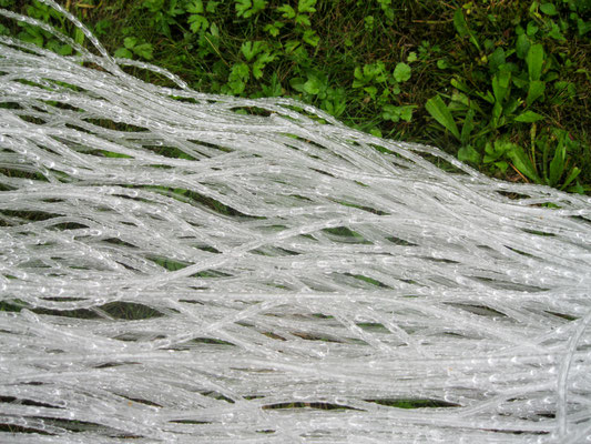 Detail zu "Auflösung folgt", 2019