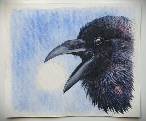 "Gesang des Raben", Aquarell auf Büttenpapier