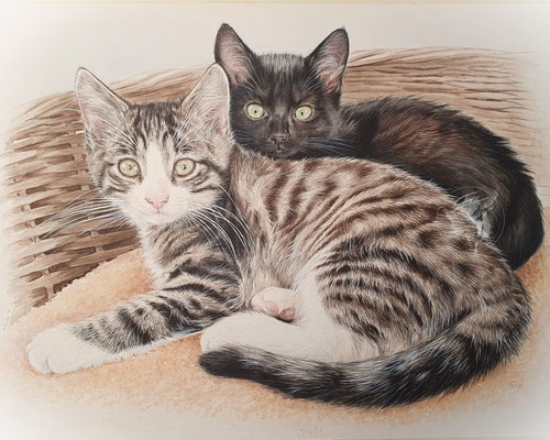 "Zwei Kätzchen im Korb", Aquarell, Auftragsmalerei