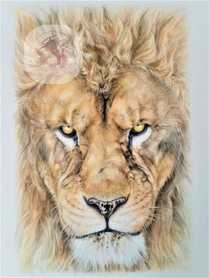 "Löwe", Aquarell, Auftragsmalerei