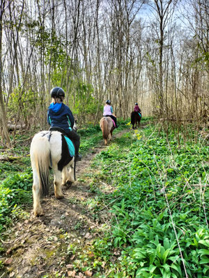 klappt es auch mit dem Ausritt. Die Kinder müssen die Ponys kontrollieren können!