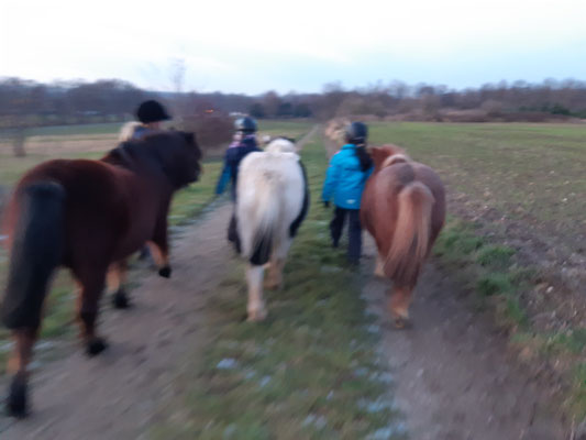 die Ponys führen lernen und dabei plaudern, da störe ich nicht!!!