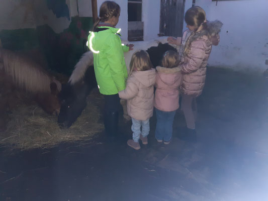 Die Großen erklären den Kleinen