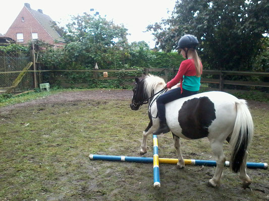 Wenn die Ponys sich weh tun, machen sie es nicht mehr, also vorsichtig!!!!