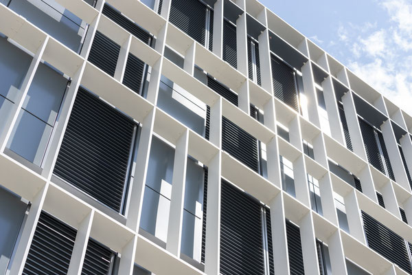 Photographie d'architecture - Lycee du Docteur Charles Merieux - Brise-soleil Duco