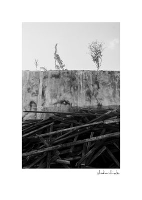 Kaputte Wand mit Streuchern. Künstlerisches Schwarz Weiss Foto von Sebastian Schieder, Fotograf Regensburg.