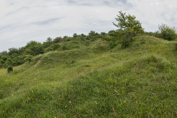 Hügellandschaft des Grünstadter Bergs