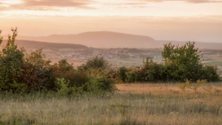 Abendstimmung mit Blick zum Donnersberg