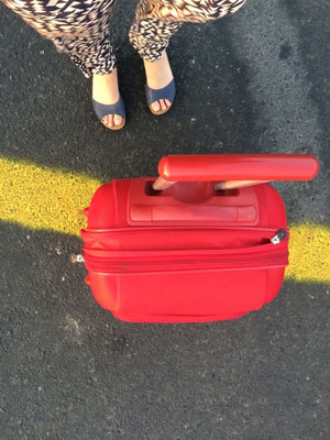 Kunst Studium In Den Niederlanden