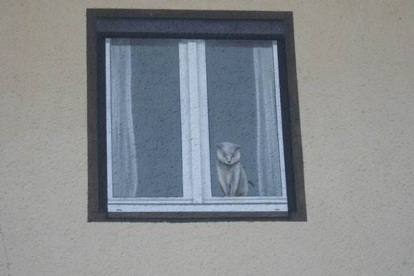 Unsere Katzenpension Außenansicht