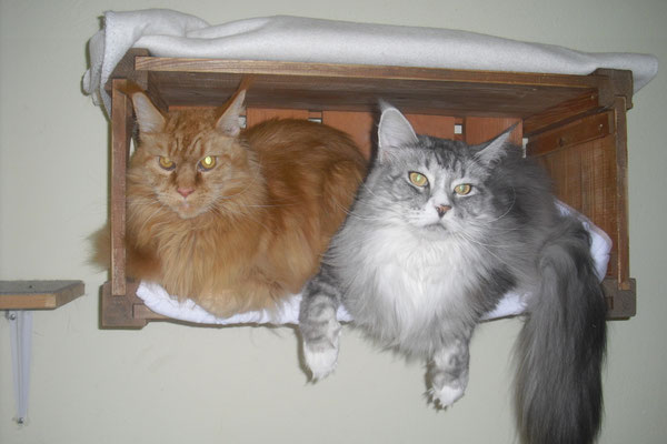Platz in der kleinsten Hütte- Erich und Fay