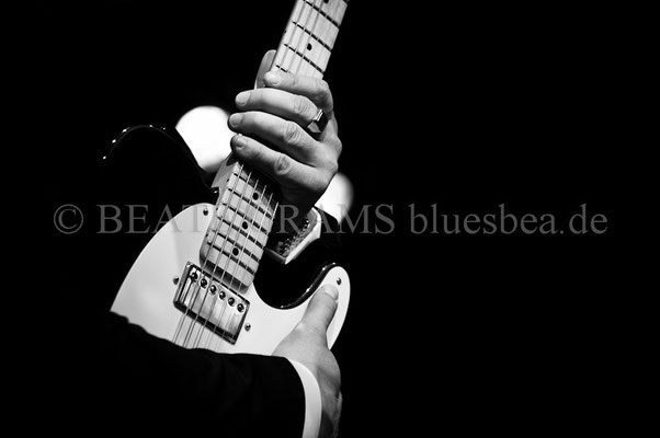 Latvian Blues Band - BluesBalticaEutin, 05.2014