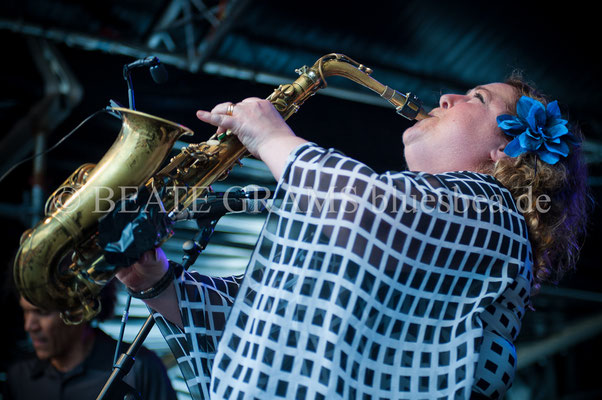 Jersey Julie Band