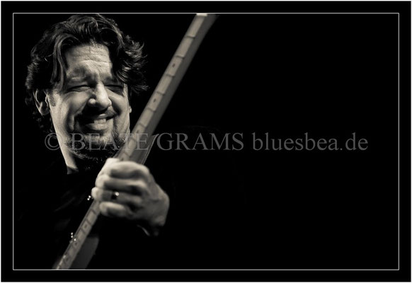 Mac Arnold & Plate Full O'Blues - 31. Oktober 2013 - Savoy, Bordesholm